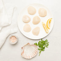 Scallops - Hokkaido 20/30 IQF