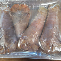 Lobster Slipper - Whole Raw Frozen (Pack of 4)
