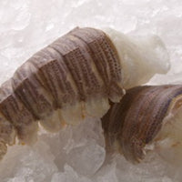 Lobster Slipper - Whole Raw Frozen (Pack of 4)