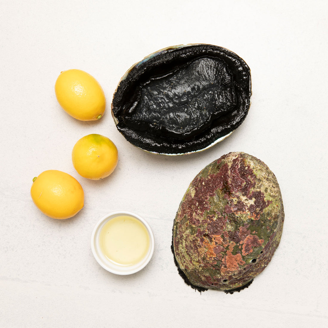 Frozen NZ Paua Whole (In Shell)