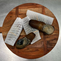 Geo Duck Clam - Frozen