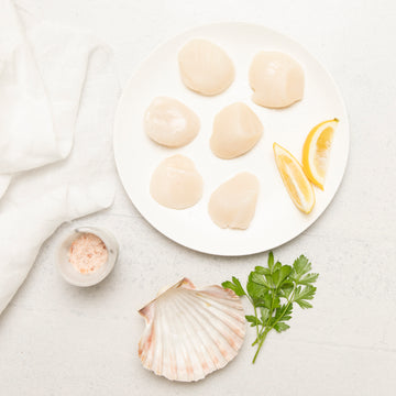 Scallops - Hokkaido 16/18