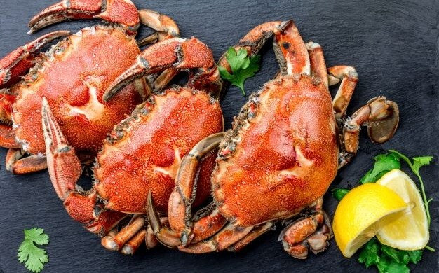 Frozen Cooked Whole Brown Crab