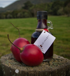 Condiments- Mustards, Chutneys and Gourmet Salts