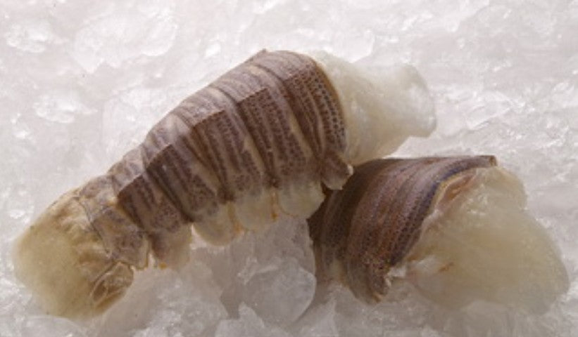 Lobster Slipper - Whole Raw Frozen (Pack of 4)