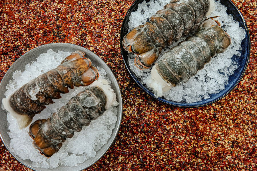 North Atlantic (USA) Lobster Tails