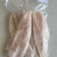 Frozen Fillets - Gurnard (Skin Off, Bone Out)