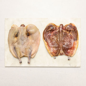 Muttonbird