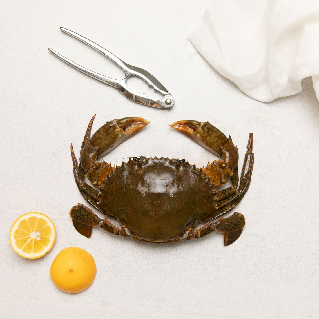 Frozen Mud Crab Whole (Raw)