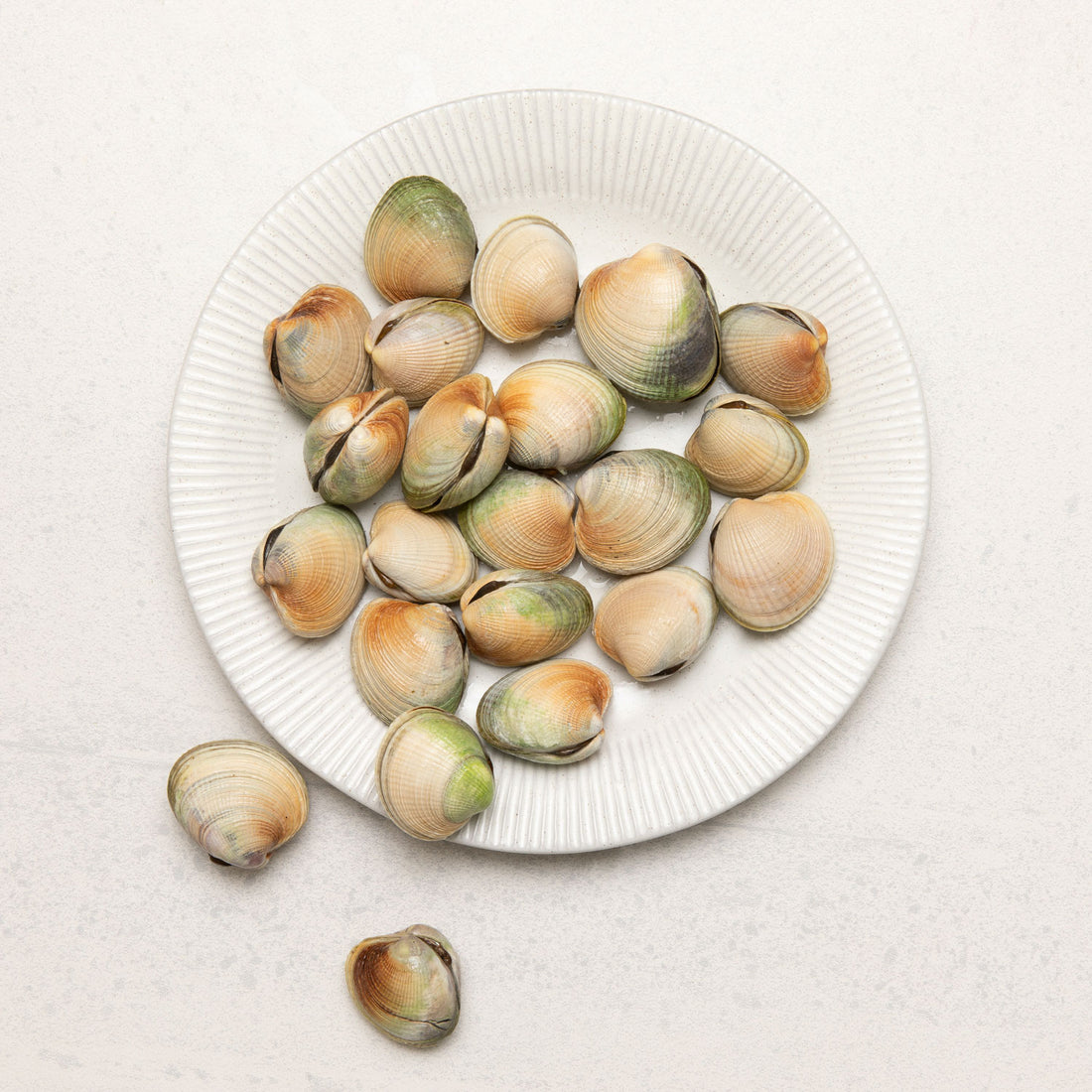 Frozen NZ Little Neck Clams Whole