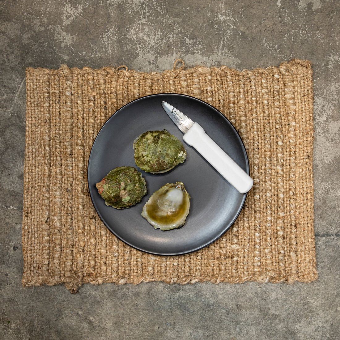 Oyster Knife