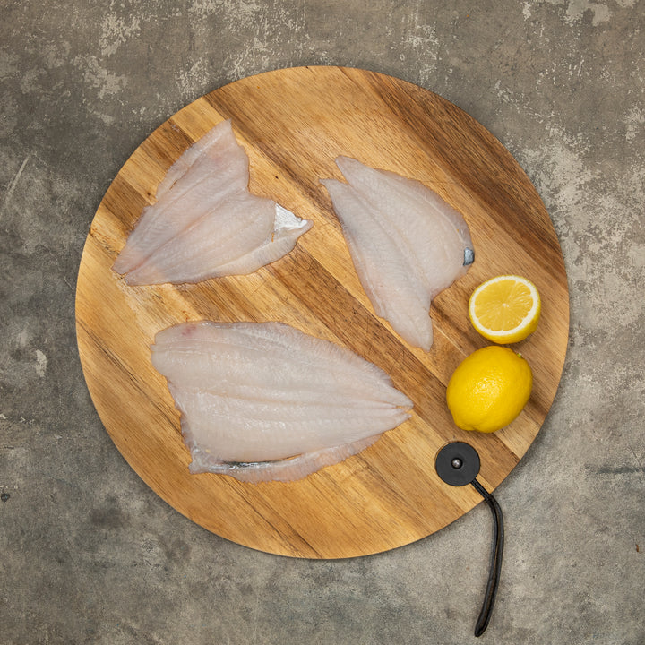 Buy Fresh & Frozen Fish Online - Home Delivery NZ Wide – Oceans North ...